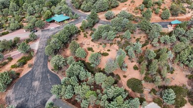 1061 Fox Hat Trail, Pine, AZ 85544 - photo 6