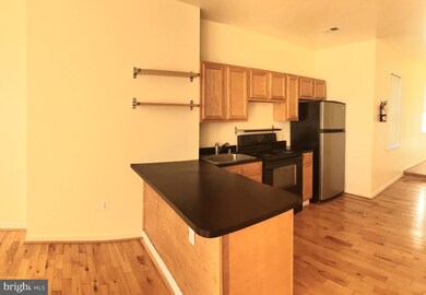 1030 Hollins St unit 2FL, Baltimore, MD 21223 - photo 4