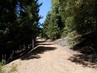 Looking up the driveway from the building site. Th