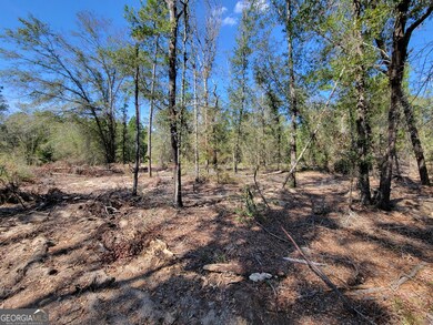 22 Meadowlark Ln, Twin City, GA 30471 - photo 7