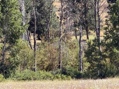 38532 Bennie Ln, Chiloquin, OR 97624 - photo 6