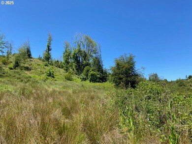 15996 Nonpareil Rd, Sutherlin, OR 97479 - photo 6