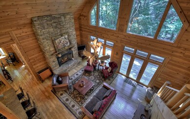 Additional View