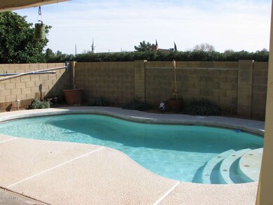 3 Back Patio