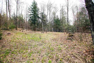 305 Dolan Rd, Northfield, VT 05663 - photo 4