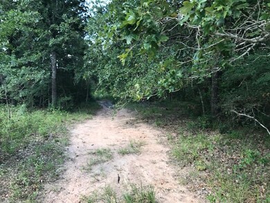 29700 Joseph Rd, Hockley, TX 77447 - photo 5