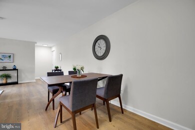 5937 Quantrell Ave unit T2, Alexandria, VA 22312 - photo 6