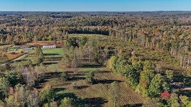 0 Allen Rosen Rd, Dillwyn, VA 23936 - photo 6