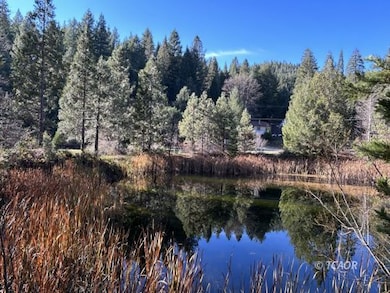 151 Guy Covington Dr, Trinity Center, CA 96091 - photo 6