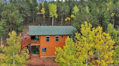 32 Iowa Ln, Woodland Park, CO 80863 - photo 6