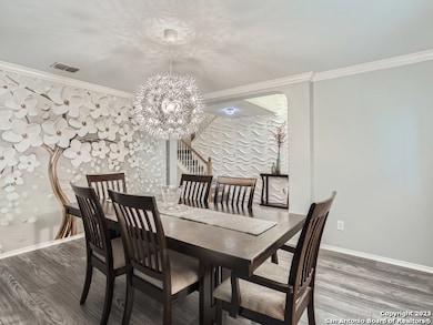 10727 Palomino Bend, San Antonio, TX 78254 - photo 6