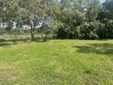 Huge Backyard
