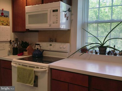 4904 29th Rd S unit 3309, Arlington, VA 22206 - photo 4