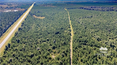 XX1 Highway 2, Campbellton, FL 32426 - photo 7