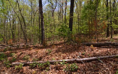 Additional View