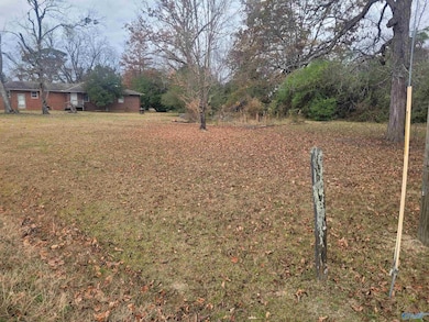Lot 0 College Ave, New Hope, AL 35760 - photo 3