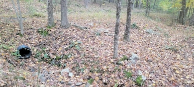 TBD Pine Ridge Rd, Morgantown, WV 26508 - photo 7