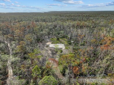 409 6th St E, Steinhatchee, FL 32359 - photo 4