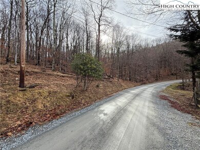 109 Hawthorne Rd, Beech Mountain, NC 28604 - photo 3