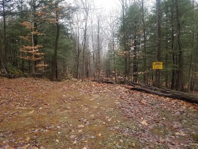 waterfront access area