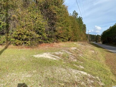 TBD Horsecreek Rd, Aynor, SC 29511 - photo 2