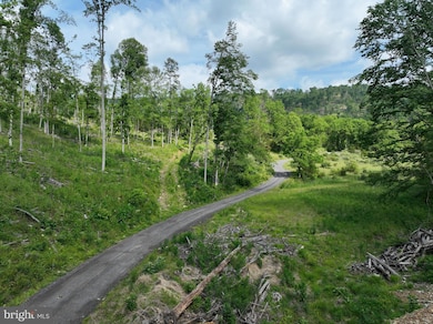 686.10 ACRES Thorn Bottom Rd, Wardensville, WV 26851 - photo 3
