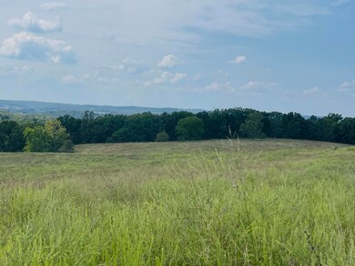 Grass Farm
