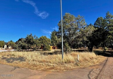 801 Bushman -- unit 1, Show Low, AZ 85901 - photo 4