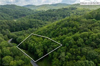 TBD Lot 106 Firethorn Trail, Blowing Rock, NC 28605 - photo 4