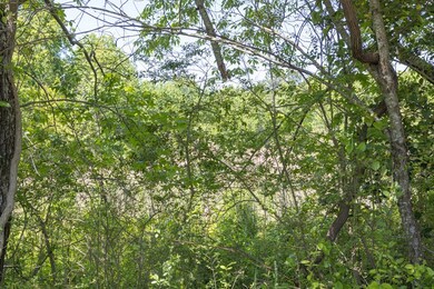 Lot 127, Vaucluse Shores