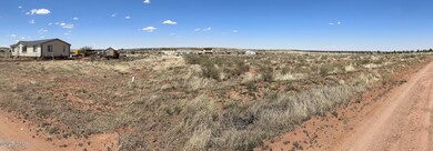 Panoramic of lot