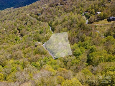 93 Goldenleaf Rd unit 93 & 95, Mars Hill, NC 28754 - photo 4