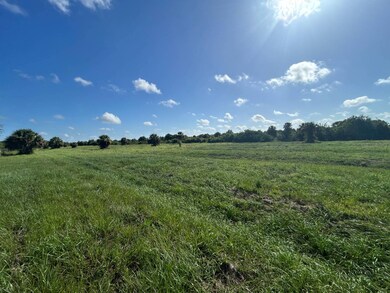 7008 Grove Blvd, Punta Gorda, FL 33982 - photo 4