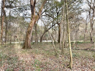 600 SW Santa fe Dr, Fort White, FL 32038 - photo 6