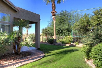 Grass Area