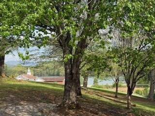 102 Ledford Chapel Rd, Hayesville, NC 28904 - photo 6