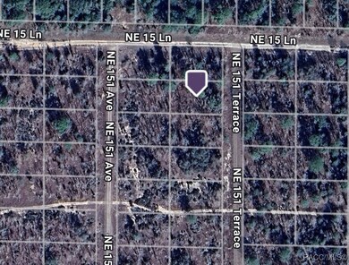 Lot 2 NE 151 Terrace, Williston Highlands, FL 32696 - photo 6