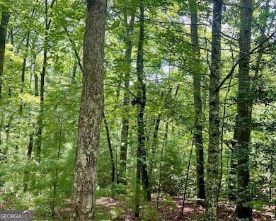 0 Hillbilly Holler unit 10349381, Blue Ridge, GA 30513 - photo 3
