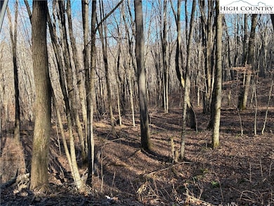 TBD Wolfsbane Trail, Todd, NC 28684 - photo 3