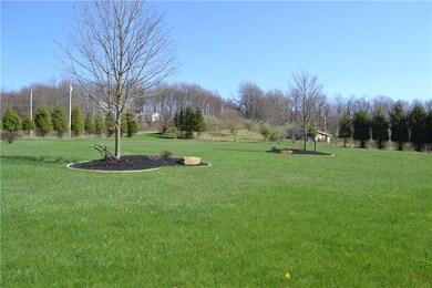 Gorgeous landscaping!