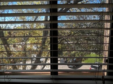 View from kitchen window.  Once trees bloom it is 