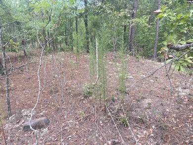 921 Jackson Rd, Ridgeway, SC 29130 - photo 3