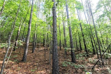 0 Chasewood Dr unit 8, Rutherfordton, NC 28139 - photo 5