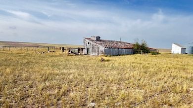 3785 Rd 222, Cheyenne, WY 82009 - photo 5