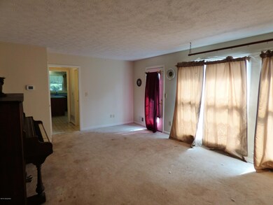 841 Ellis Cook Rd, Mount Washington, KY 40047 - photo 4