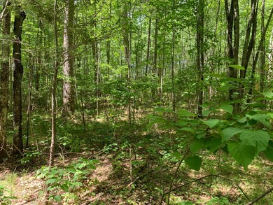 Lot 31 Whitetailed Deer Dr, Tomahawk, WI 54487 - photo 2