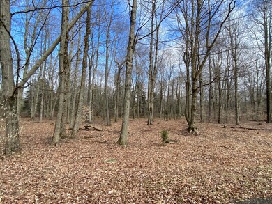 1018 W Wadi Rd W, Pocono Lake, PA 18347 - photo 7