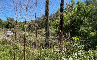 393 Old Orchard Rd, Ellijay, GA 30536 - photo 4