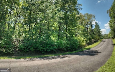 139 Whispering Ridge Ct, Ellijay, GA 30540 - photo 7