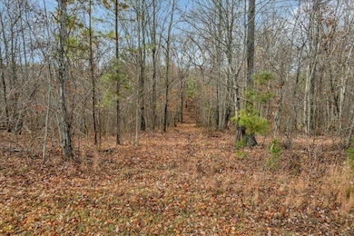 0 Crockett Point unit 1525230, Jasper, TN 37347 - photo 4